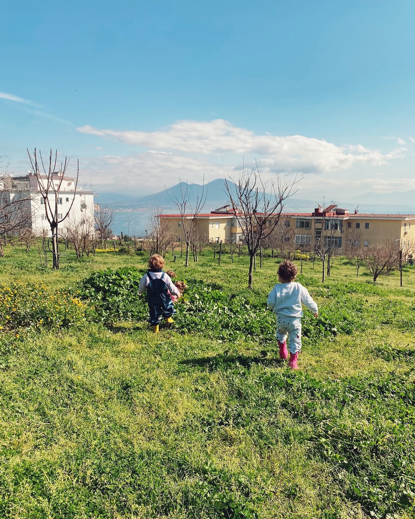 Tenuta Melofioccolo